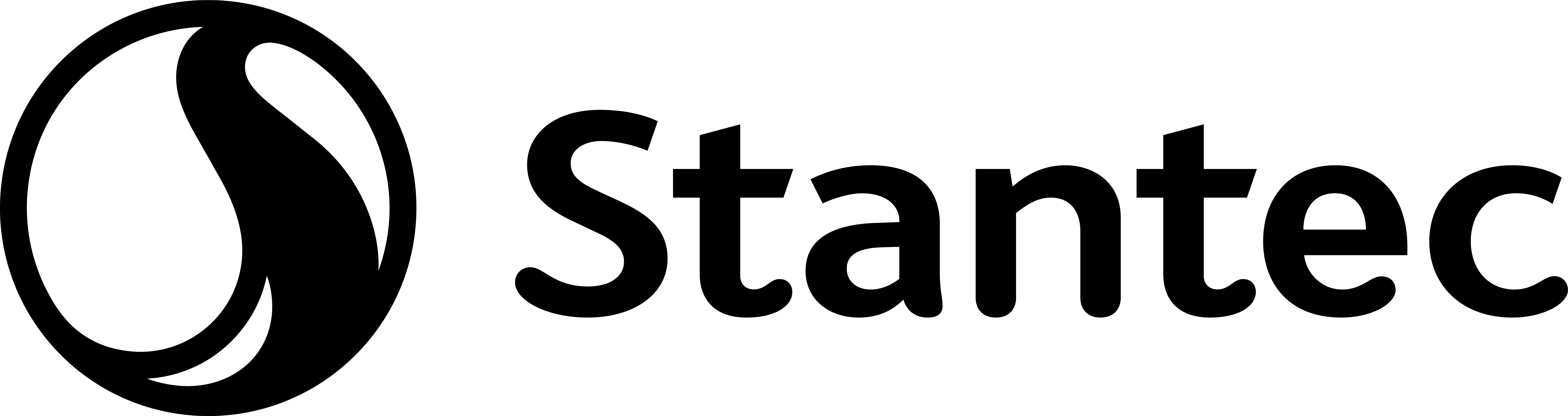 Logo Noir Rgb