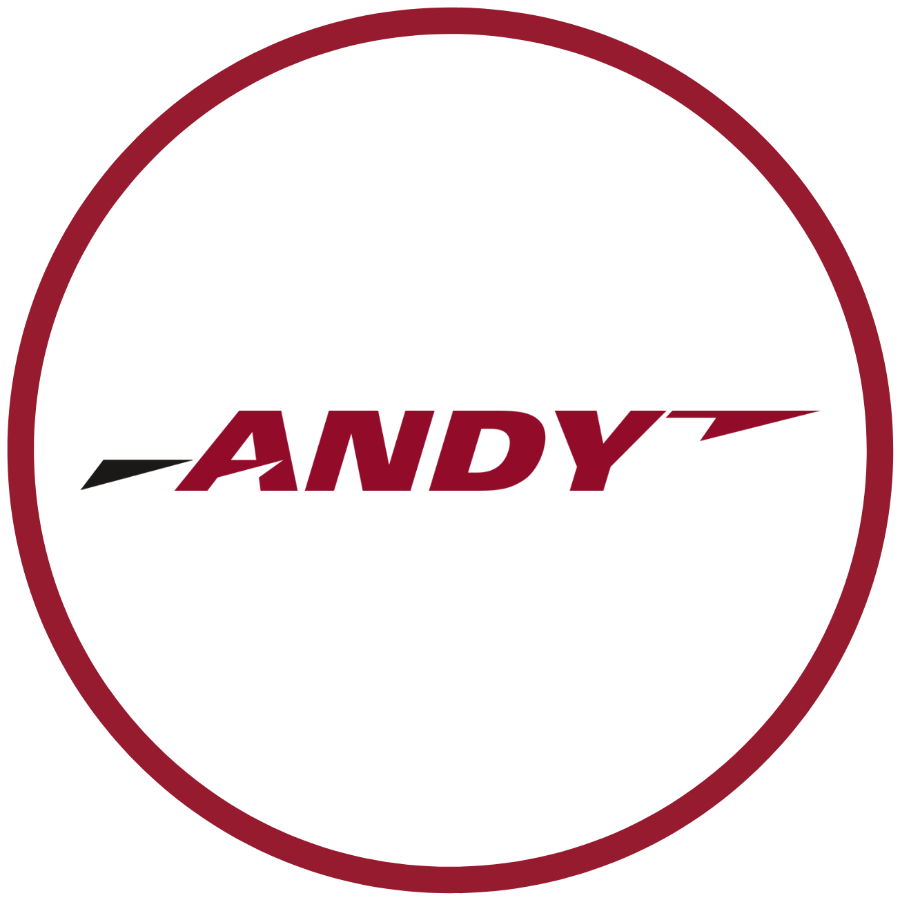 Logo de ANDY Transport