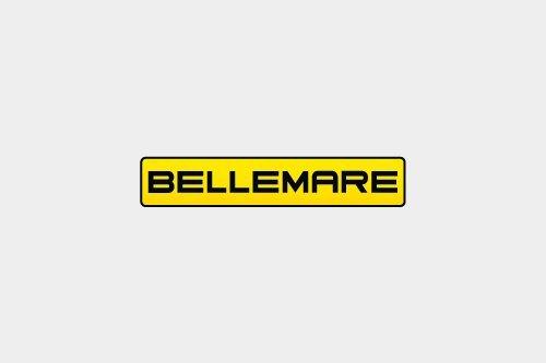 Logo de Groupe Bellemare